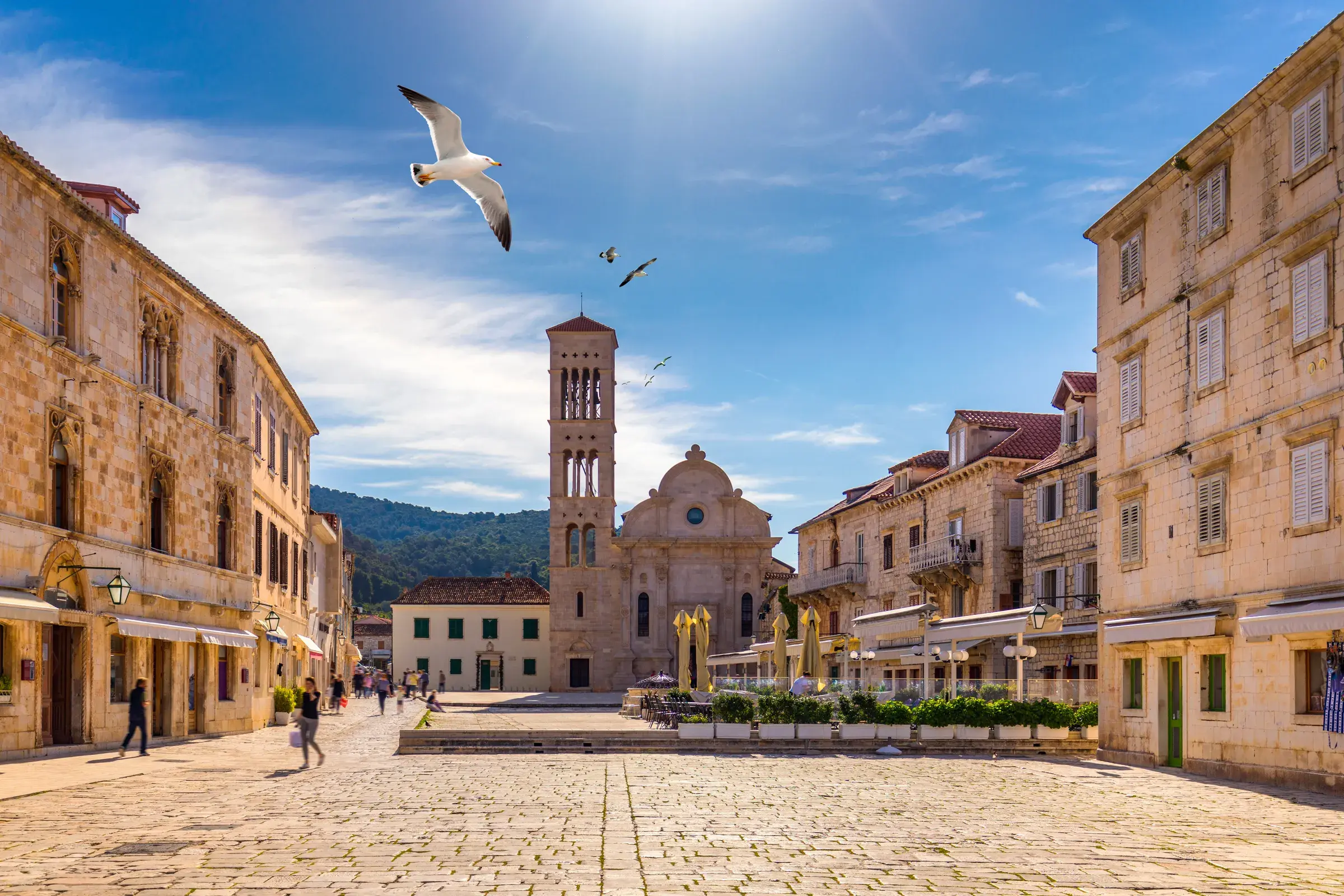 Croatia Boat Tours — gallery photo 17